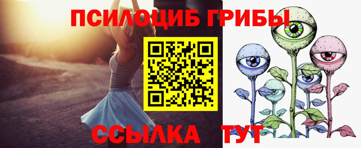 Галлюциногенные грибы Psilocybine cubensis  Галлюциногенные грибы Cubensis  Стрежевой  Вход с VPN 