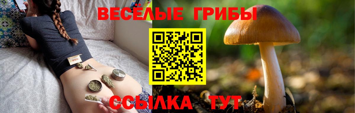 Галлюциногенные грибы Psilocybe Стрежевой
